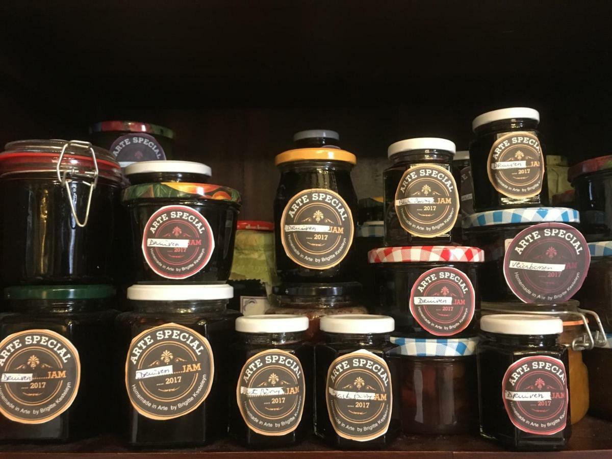Berlare B&B Arte מראה חיצוני תמונה